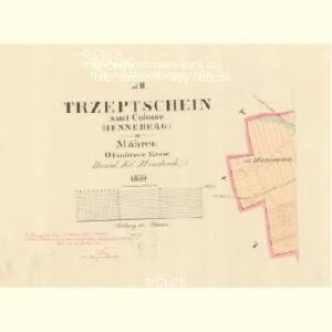 Trzeptschein - m3145-1-003 - Kaiserpflichtexemplar der Landkarten des stabilen Katasters
