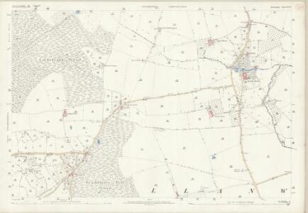 Herefordshire XLV.11 (includes: Llanwarne; Much Dewchurch; Orcop) - 25 Inch Map