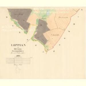 Lippian - m1569-1-002 - Kaiserpflichtexemplar der Landkarten des stabilen Katasters