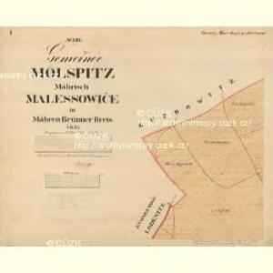 Molspitz - m1703-1-001 - Kaiserpflichtexemplar der Landkarten des stabilen Katasters