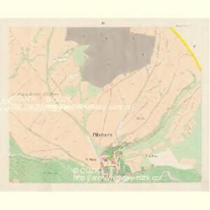 Pilsenetz (Plženec) - c7307-1-004 - Kaiserpflichtexemplar der Landkarten des stabilen Katasters