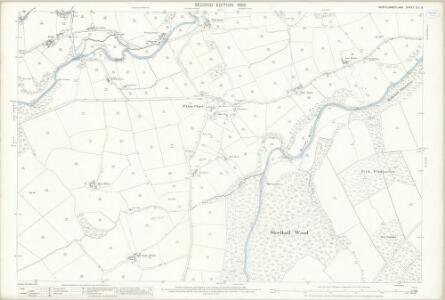 Northumberland (Old Series) CIII.6 (includes: Hexhamshire Low Quarter; Hexhamshire Middle Quarter; Slaley) - 25 Inch Map