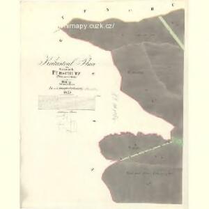 Pürschütz (Pürssotice) - m2434-1-001 - Kaiserpflichtexemplar der Landkarten des stabilen Katasters