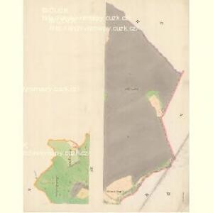 Bilnitz - m0305-1-005 - Kaiserpflichtexemplar der Landkarten des stabilen Katasters